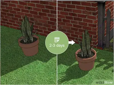 Imagen titulada Transplant a Plant Step 8