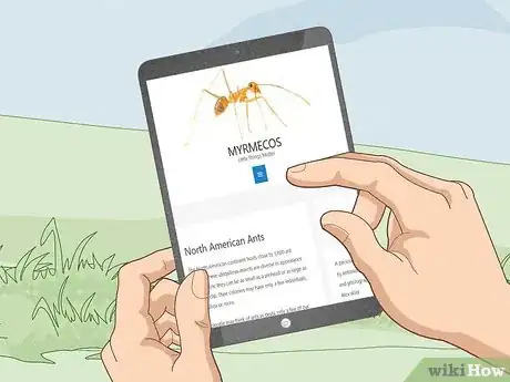 Imagen titulada Catch Ants Step 6