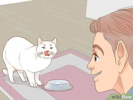 Imagen titulada Choose a Lap Cat Step 8