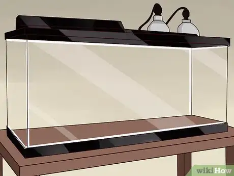 Imagen titulada Care for a Leopard Gecko Step 1