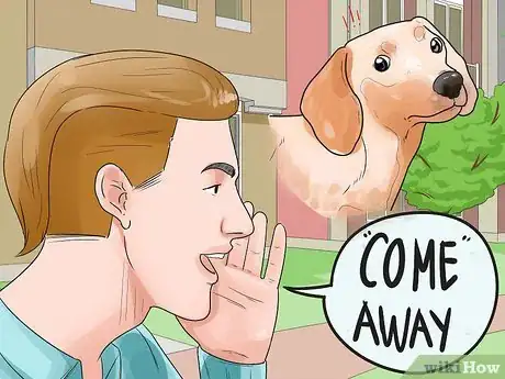 Imagen titulada Stop Aggressive Behavior in Dogs Step 5