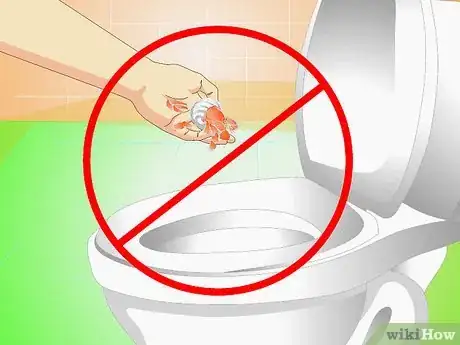 Imagen titulada Know when Your Hermit Crab Is Dead Step 12