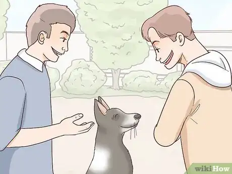 Imagen titulada Calm an Aggressive Dog Step 14