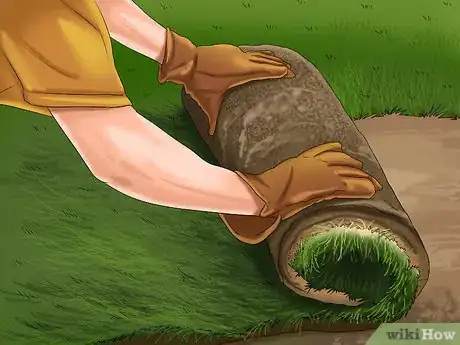 Imagen titulada Get and Maintain a Healthy Lawn Step 3