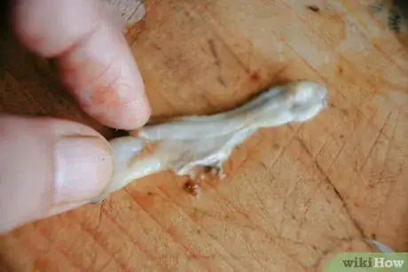 Imagen titulada Clean a Razor Clam Step 10