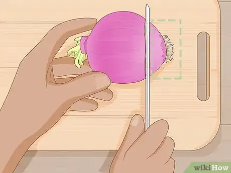 Imagen titulada Grow Onions Indoors Step 3
