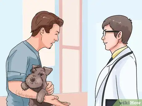 Imagen titulada Save a Choking Dog Step 13