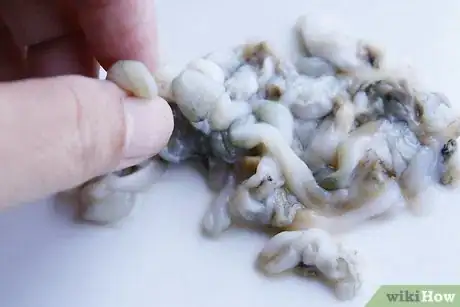 Imagen titulada Clean a Razor Clam Step 17