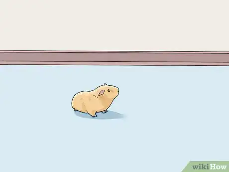 Imagen titulada Entertain Your Guinea Pig Step 11