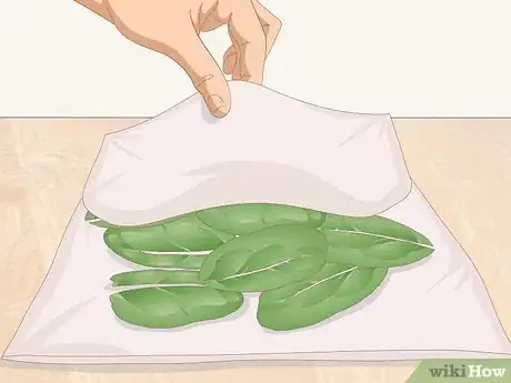 Imagen titulada Wash Spinach Step 11