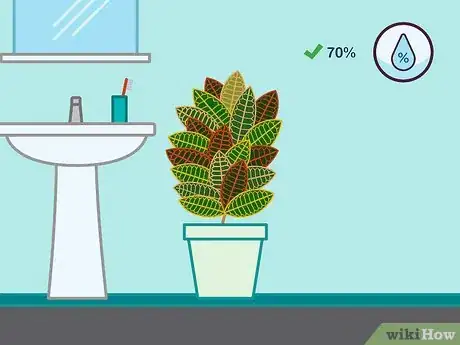 Imagen titulada Care for a Croton Plant Step 08