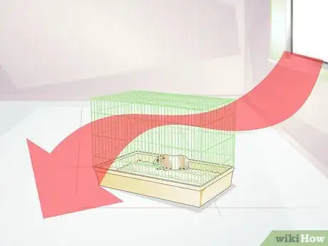 Imagen titulada Treat Respiratory Problems in Guinea Pigs Step 12