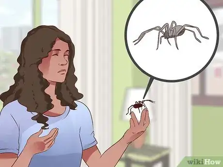 Imagen titulada Have No Fear Step 11