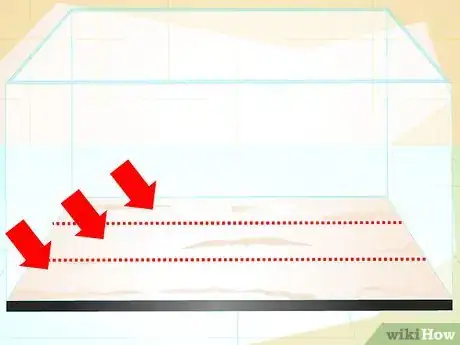 Imagen titulada Make a 5 Gallon Aquarium Interesting Step 15