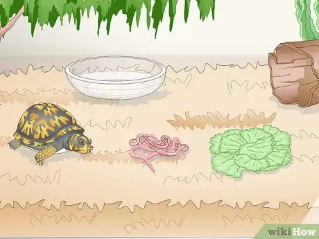 Imagen titulada Care for an Eastern Box Turtle Step 12