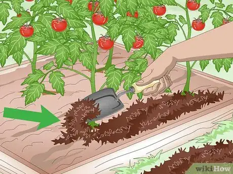 Imagen titulada Keep Soil Moist Step 4