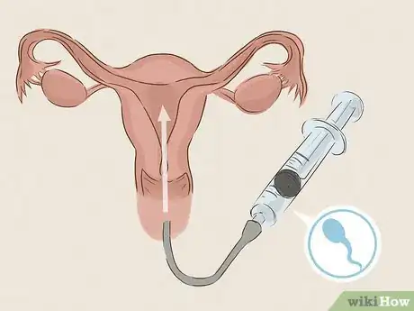Imagen titulada Get Pregnant Step 23