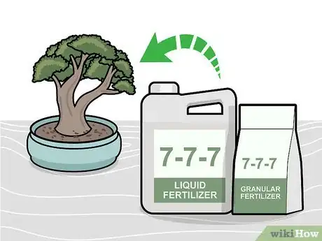 Imagen titulada Prune a Bonsai Tree Step 14
