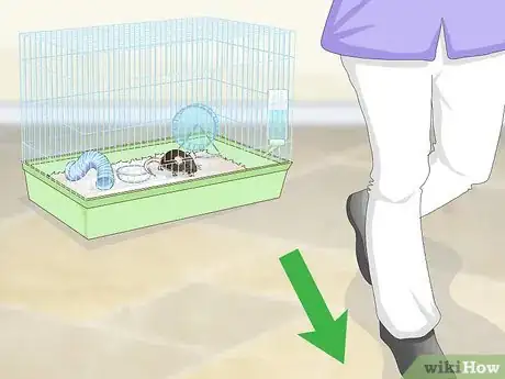 Imagen titulada Tame a Rat Step 1