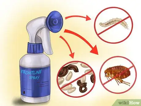 Imagen titulada Kill Fleas and Ticks on Cats Step 11