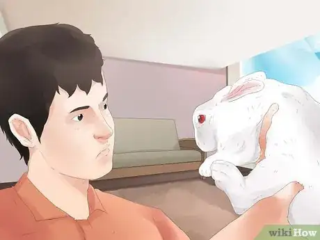 Imagen titulada Understand Your Rabbit Step 4