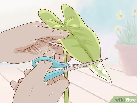 Imagen titulada Get Rid of Powdery Mildew on Plants Step 12