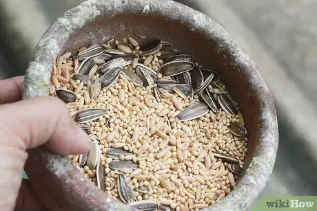 Imagen titulada Make Homemade Bird Food Step 8