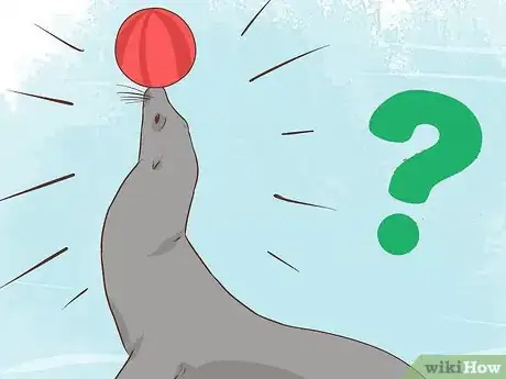 Imagen titulada Interpret a Dream Involving Seals Step 10