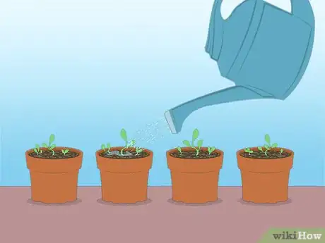 Imagen titulada Propagate Azaleas Step 42