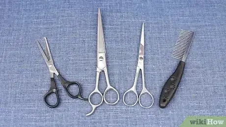Imagen titulada Cut Dog Hair with Scissors Step 1