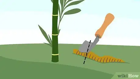 Imagen titulada Prune Bamboo Step 11