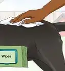 bañar a un perro sin champú