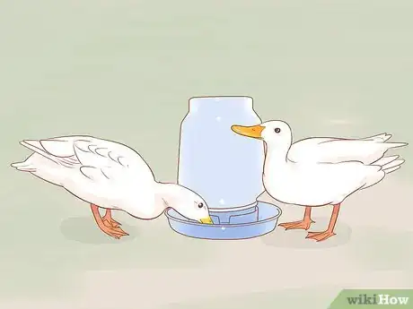 Imagen titulada Care for Ducks in the Winter Time Step 8