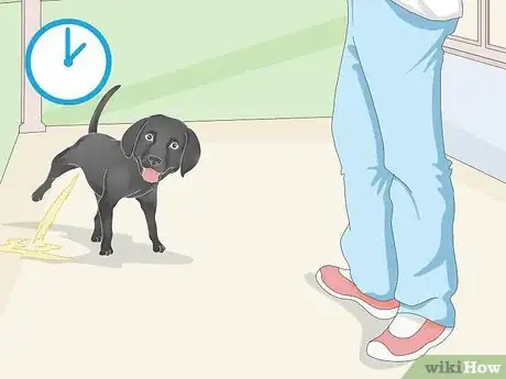 Imagen titulada Get a Puppy to Sleep Step 3