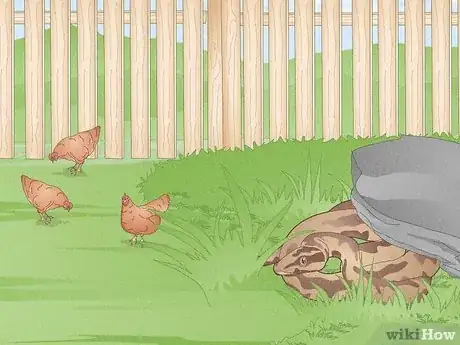 Imagen titulada Trap a Snake Step 11