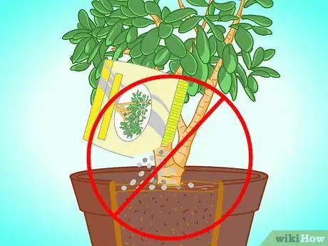 Imagen titulada Transplant a Jade Plant Step 15