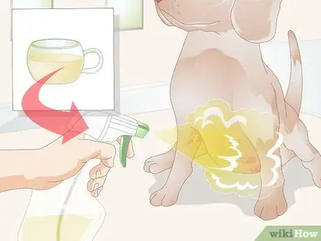 Imagen titulada Get Rid of a Rash on a Dog Step 13
