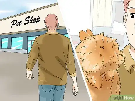 Imagen titulada Care for Lionhead Rabbits Step 5