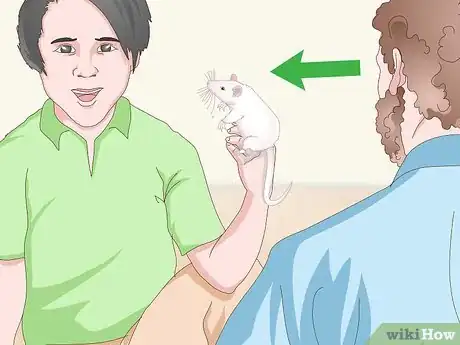 Imagen titulada Handle a Pet Rat Step 12