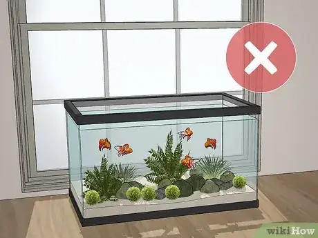 Imagen titulada Clean an Aquatic Moss Ball Step 7