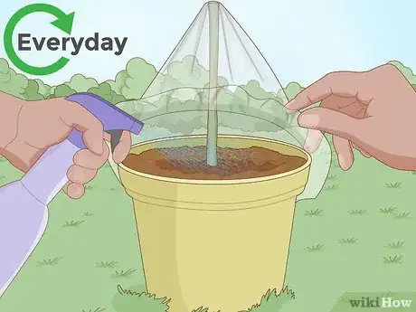 Imagen titulada Clone Plants Step 11