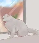 hacer que un gato deje de arañar las puertas