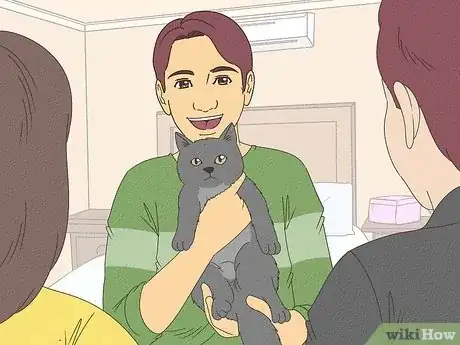 Imagen titulada Handle a Stray Cat Step 18