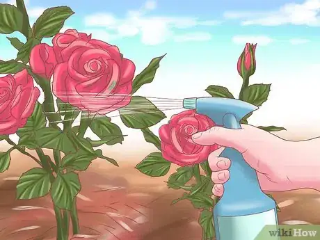 Imagen titulada Make Roses Last Longer Step 14