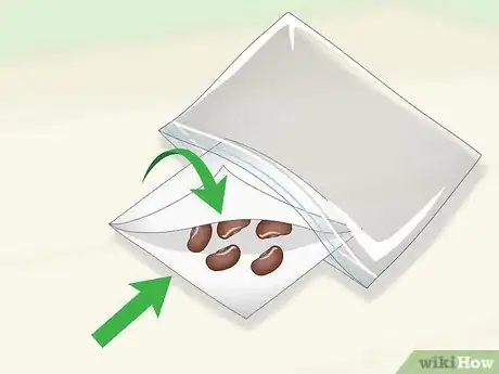 Imagen titulada Germinate Tree Seeds Step 11