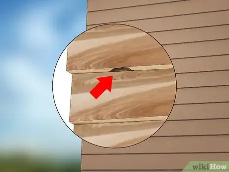 Imagen titulada Kill Yellow Jackets in the Wall Step 5