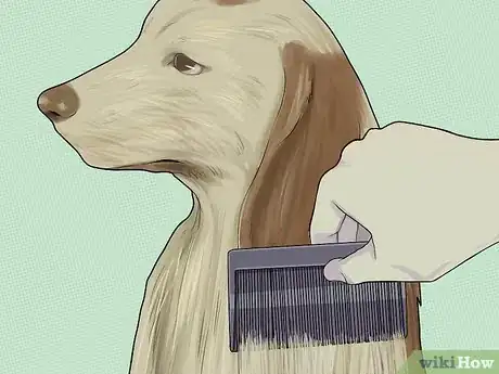Imagen titulada Make a Natural Flea and Tick Remedy with Apple Cider Vinegar Step 4