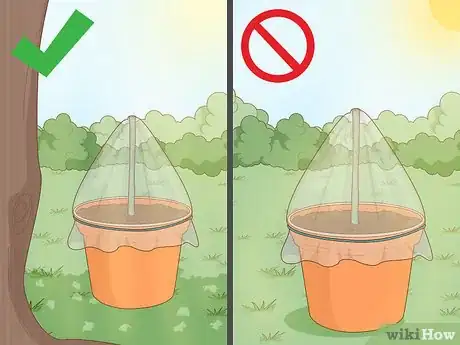 Imagen titulada Clone Plants Step 10