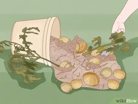 Imagen titulada Plant Potatoes in Pots Step 18