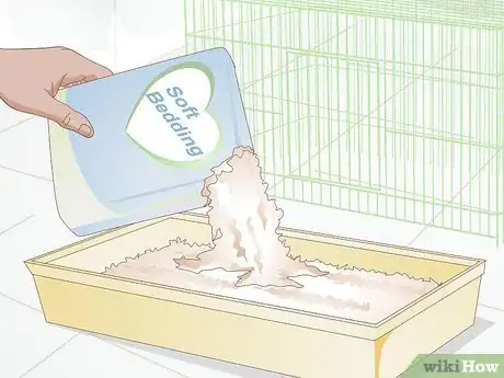 Imagen titulada Treat Respiratory Problems in Guinea Pigs Step 11